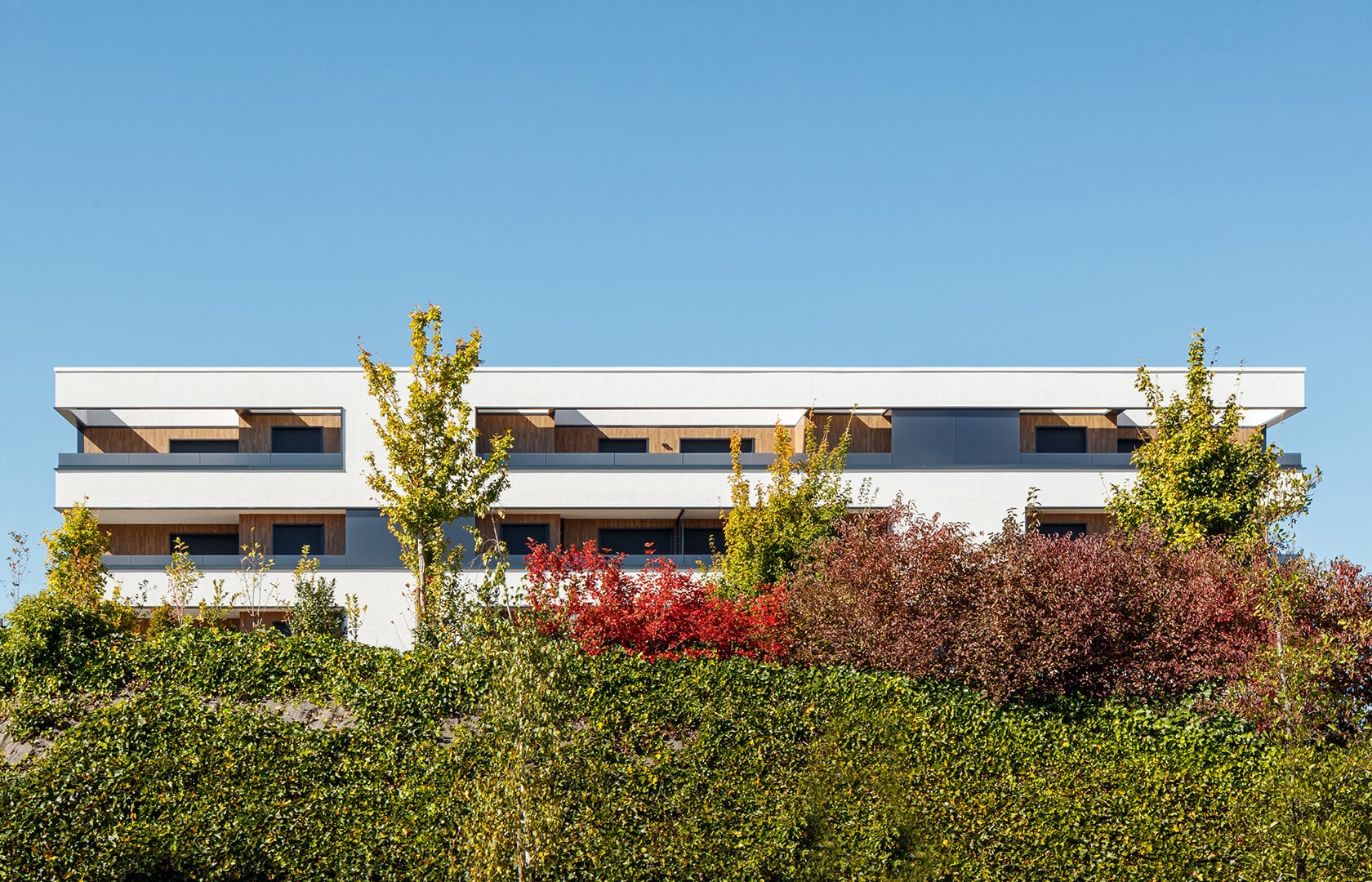 1666_en-36-housing-units-in-vitoria-gasteiz-Real