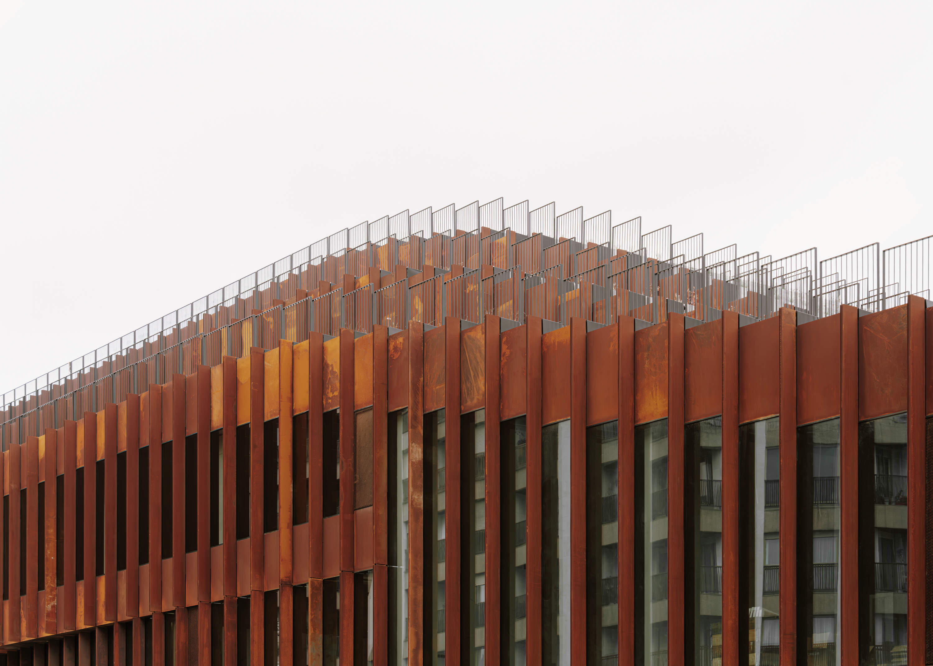 251014 - 00605 ©Francisco_Tirado - Low res