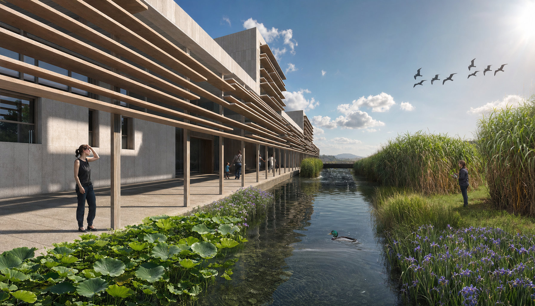 Exterior Canal